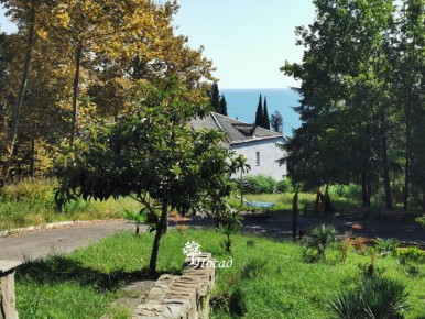 �������� ����: ��� �� ������������ ������� � ������