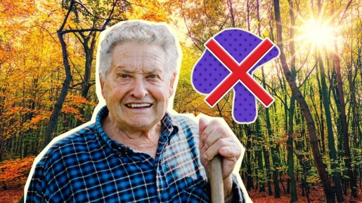 ��� ����� ����������� ����� � ������� ����� ������������� ������: ����� ��������� �������