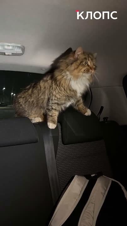 � ������ ���������� ����������� ������ ��������� ���� �����, ���������� �� ������ ������������ �����