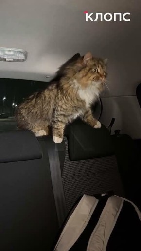 � ������ ���������� ����������� ������ ��������� ���� �����, ���������� �� ������ ������������ �����