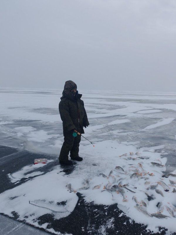 ��� ���������, ��� ���������: ��������������� ������ ����������, ��� ����� ���� �����