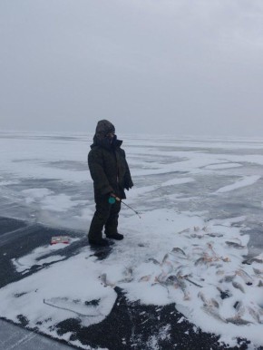 Раз плотвичка, два плотвичка: калининградские рыбаки рассказали, кто клюёт подо льдом