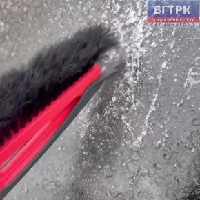 Последствия ледяного дождя