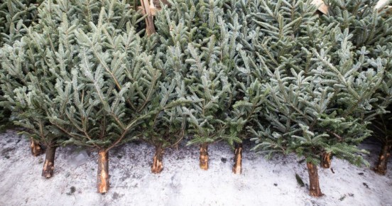 ���� �������, ���� ������ ���: � ��������������� ������� ����������� ����� �� ����� ���������� ��������