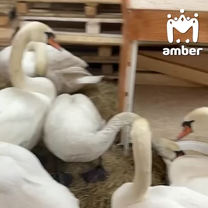 ������ ������� ���������� �� ������� ����� �� �������� � ���������