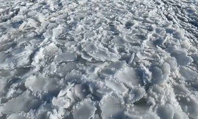 � ������������ ������������ � ������� ������ �� ��