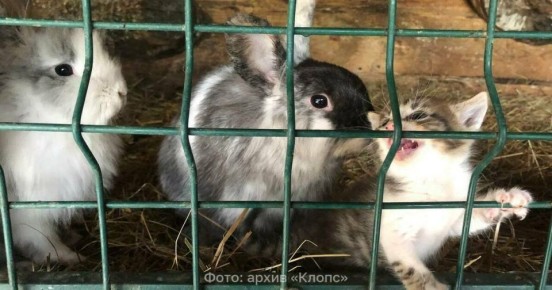 ������� � ��� �� ������ ������ ���: ���� ����� � ��������� ������� ����� ������� ���������������������