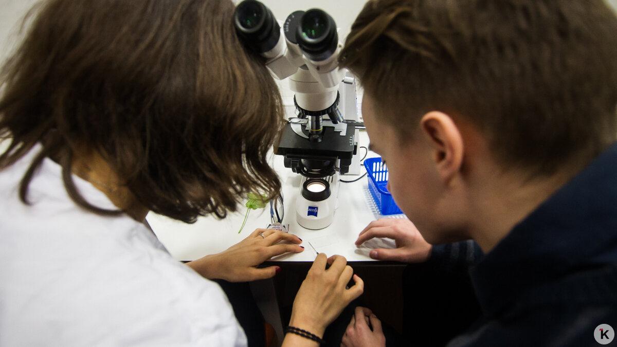 В Калининграде становится меньше учёных