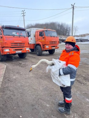 ���������� ��������� ��������� ������ ������, ����������� � ���������� �������