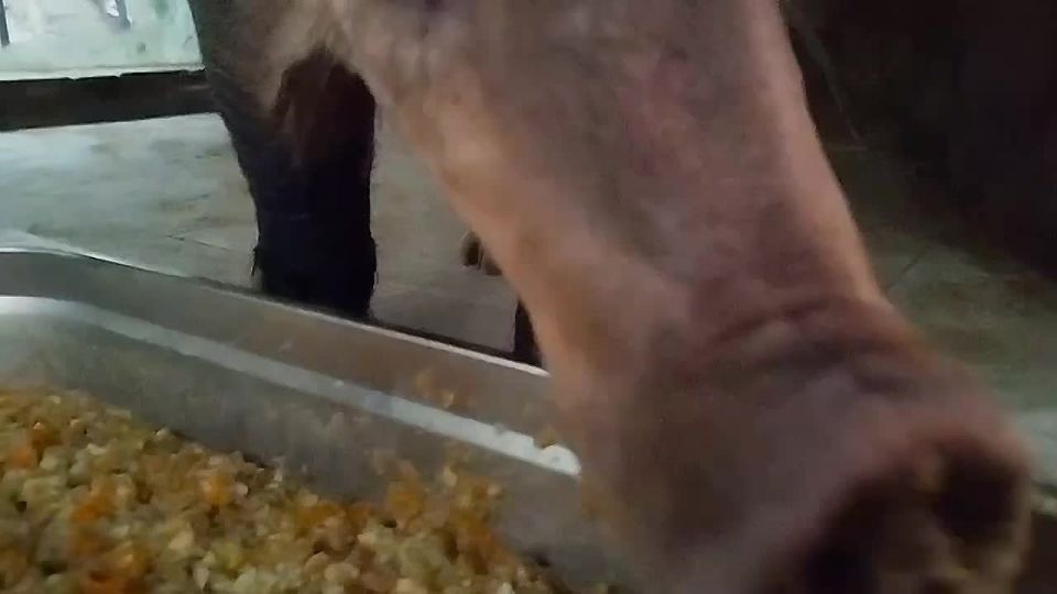 ������ ���������� ���-������ ��������������