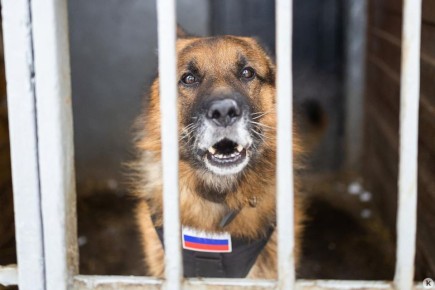 ��� � ������������ ����� � ������ ���������� ������