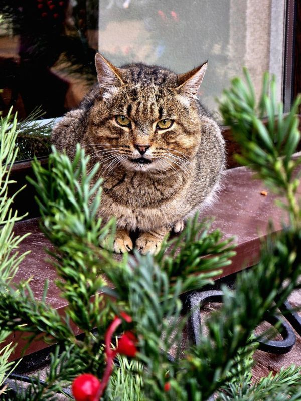 ����� ������! ���� ������� ���� ������ � �� ������ ������ ����