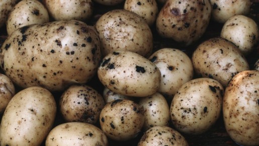 �� ����� � �� ��������: ������ ������� ������ �������� ������ ���