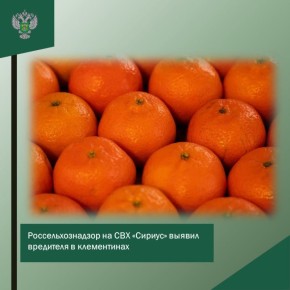 ���������������� ������ ��������� � �����������