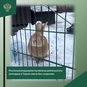 ������������������ �������� ������������ �������� � ����� ����� ��� ��������