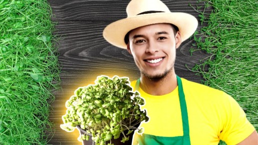 �������, ����������: ���������� �� ����������� ������ ������ ������ ������� ��������� � �����