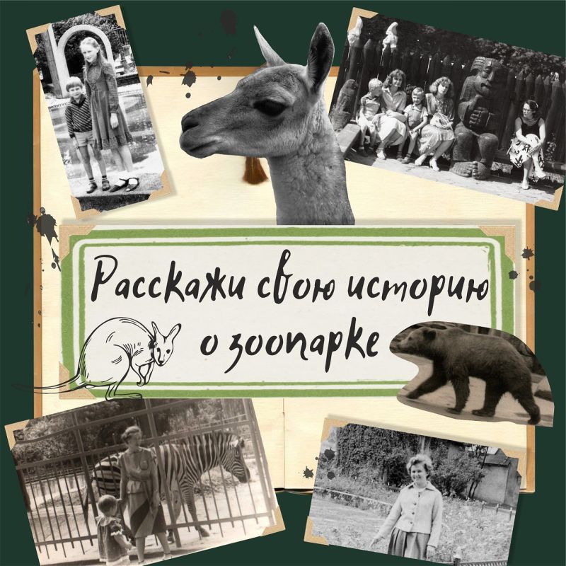 �������� ���� �������, ���������� �������� ������ �������: ���� �� ������ �� ������� ��� ������ �������� ���������� �������