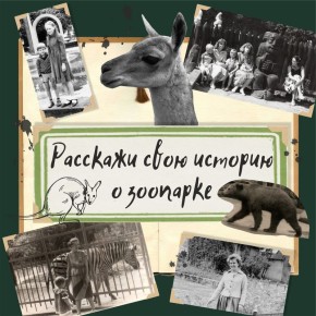 �������� ���� �������, ���������� �������� ������ �������: ���� �� ������ �� ������� ��� ������ �������� ���������� �������