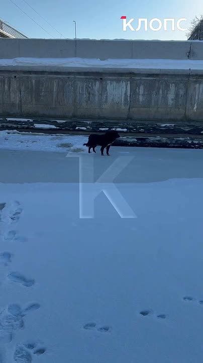 � ������������ ���������� ��������� ������� ������ ������� ������, ����������� � ������� �������