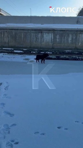 � ������������ ���������� ��������� ������� ������ ������� ������, ����������� � ������� �������