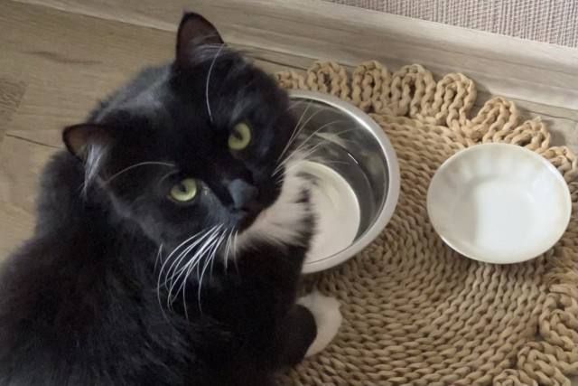 � ��������������� ������� ����� �� ������������ ������ ��� ����� � ����� ��������� ��������� �������� � ��� ����