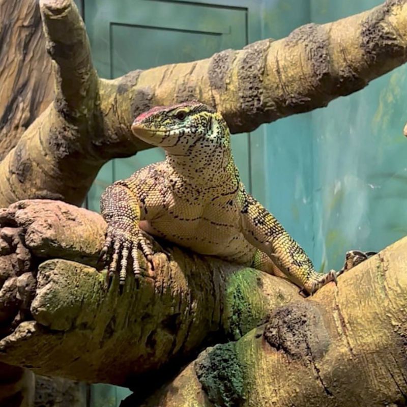 ������� � �������� ����� ���������� ���������� ����� ���������� ��� ���������