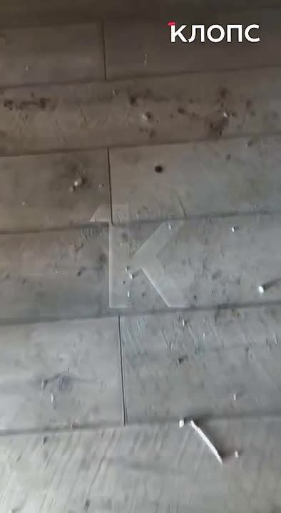 �� ����������� �������� �������, ������ ������ �� ���: ���������� ������ �������� ������������� �� �������� ���������