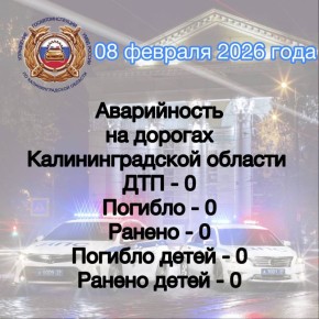 �� ����� ������������ ���������������� �������� 231 ��������� ������ ��������� ��������, � ��� �����: