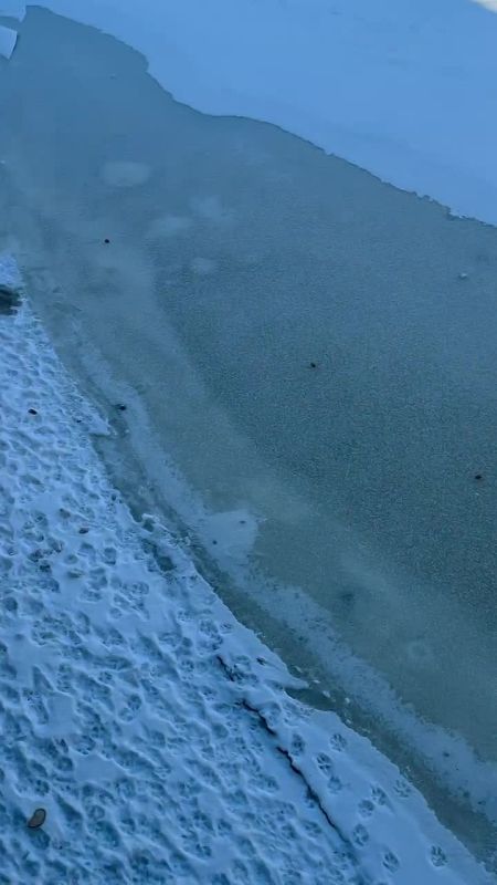 �� ������� ����� �� ����� � ������� ����, ��� ����� ������