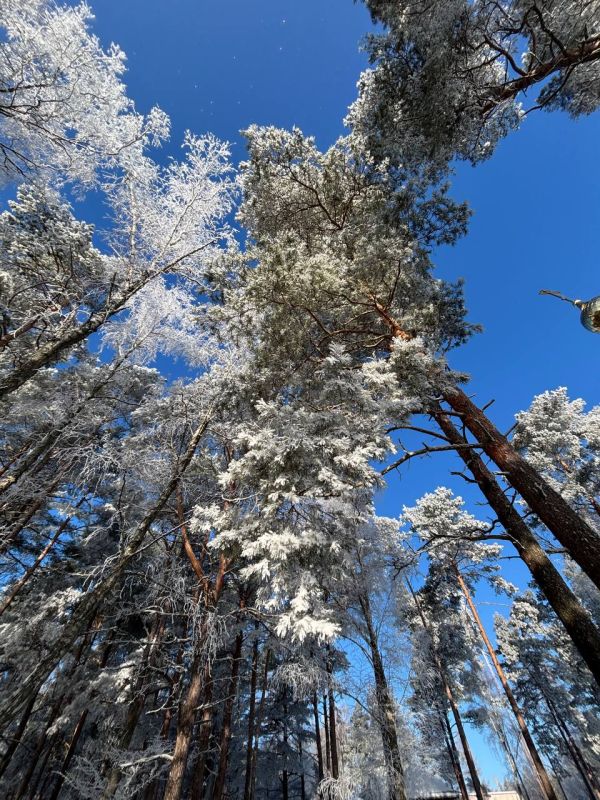 ����� ��������� ���������� ������ ���������� ������� � ����������