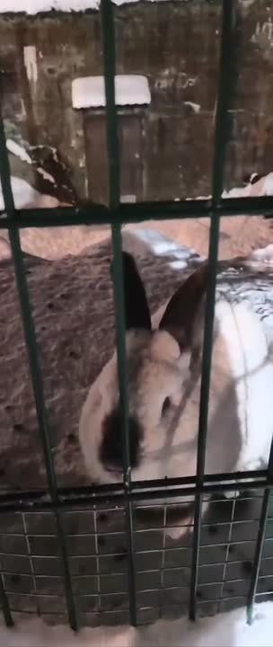 �������� ��� ��������: ������� � ������ ����� �������