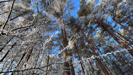 ������������� ������� ������� �� �������� ����