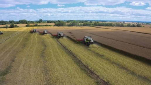 ����� �� 22 ������ �������� ����������� �������� ������� � ��������������� �������