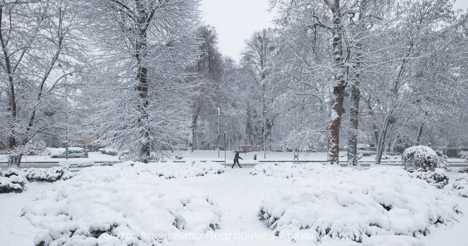 ��������������� ��������� ���� � ������ ������� �� ���� ������� �����: ������� ������ �� 10 �������