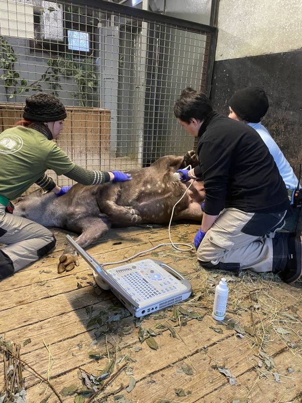 ������, �� �� ������, ��� ������ ������ ���?