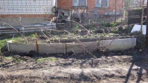 ��� ��������� ��������� �������� ������: ������ � ������� ��� ��������� �����