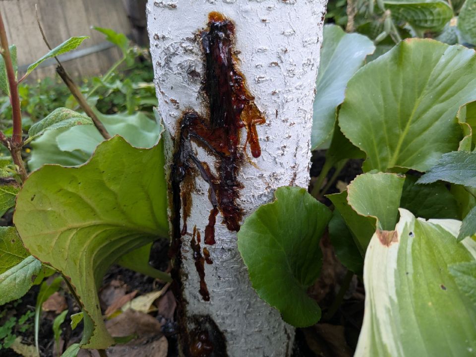 ����� �������� ���������� ����: ��� �������� ������������ ������