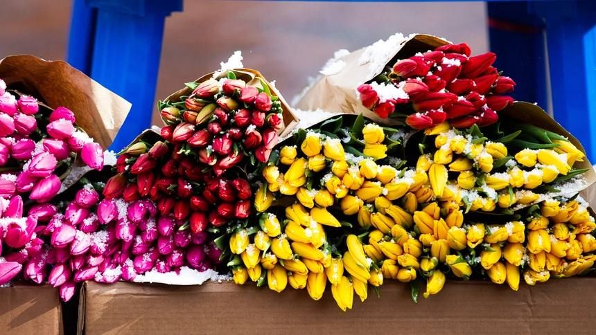 � ������ � ����������� ��������� 300 ���