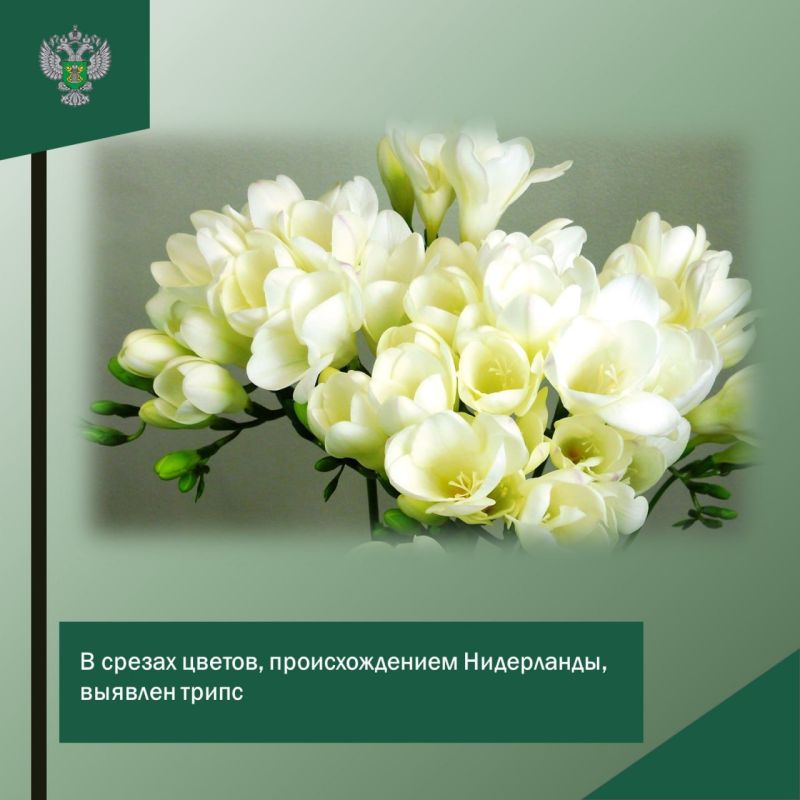 � ������ ��������� ��������� ��������� ����� ������� �����