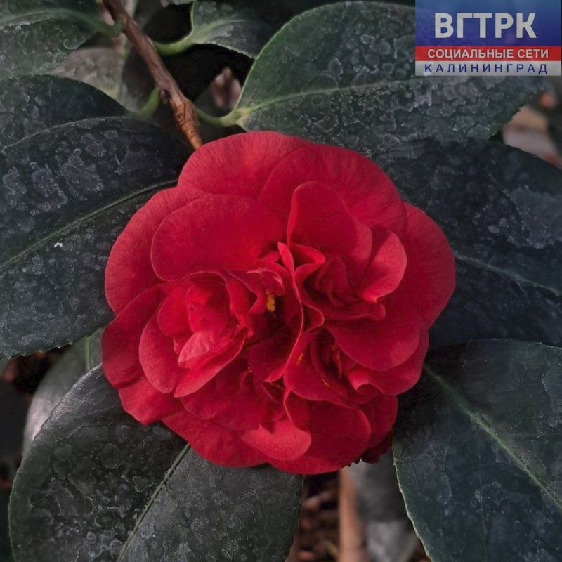 �������� �� ������, � ������������ ���� ������� ������� ���� ����� � �������� � ���������