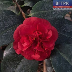 �������� �� ������, � ������������ ���� ������� ������� ���� ����� � �������� � ���������