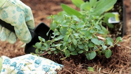 ��� ����� ������������� � ������ ��� ����� ��� ������ �������?