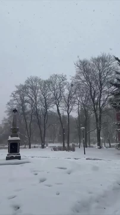 ���������� ������� ������������� ������� ����� �������� ������� �������� �� �������� ��������� ����� � ��������