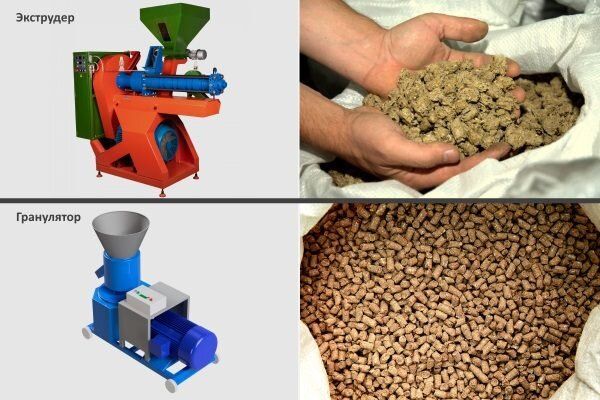 ���������� � �����������: ���� � ������������ ������ ��� ��������