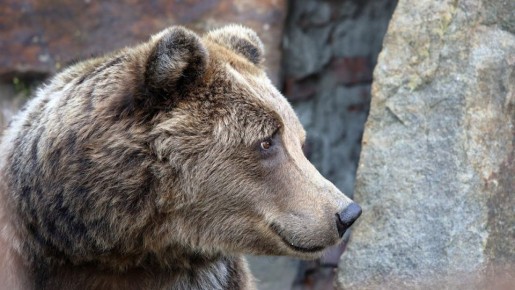 �� ��������� ������ � ��������������� �������� ���� ������ ������ ����������