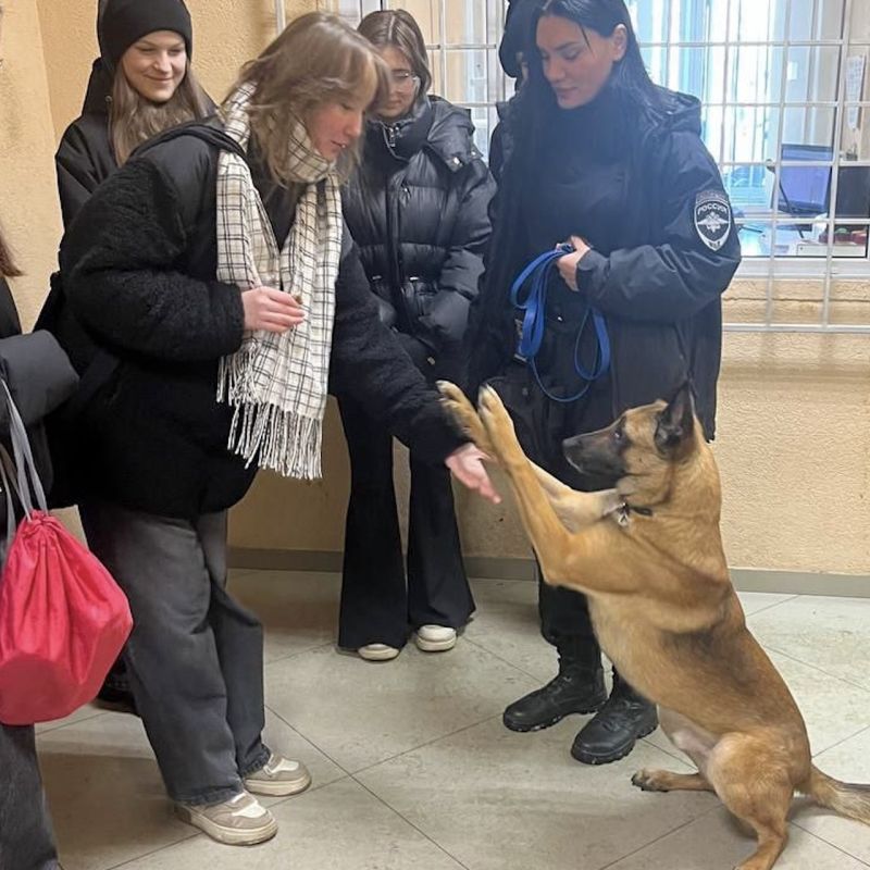 ��������������� ������������ �����������, ����� ������������� ������ ��� ��������� � ������������� ��������������� �������� ������ ����������� � ��������� ������� ������������������� ����� � 6 ������������