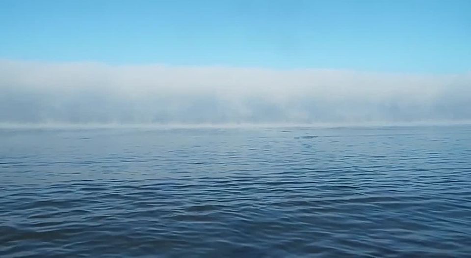 ���� ���������. ������� ���� ����� � ��� ����� ���������, ����������� ��-�� ������� ������� ���������� ����� ������������ ����� ����� � �������� ��������