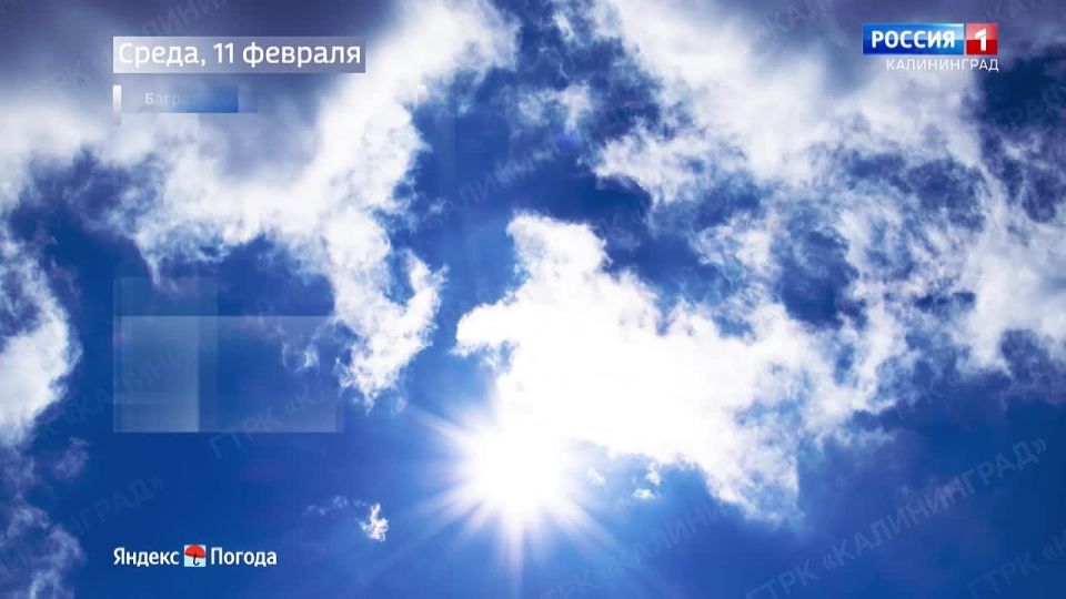 ������ �� 11 �������