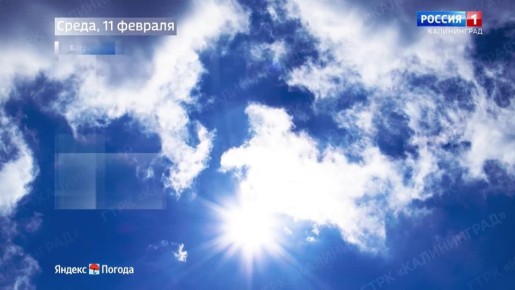 ������ �� 11 �������