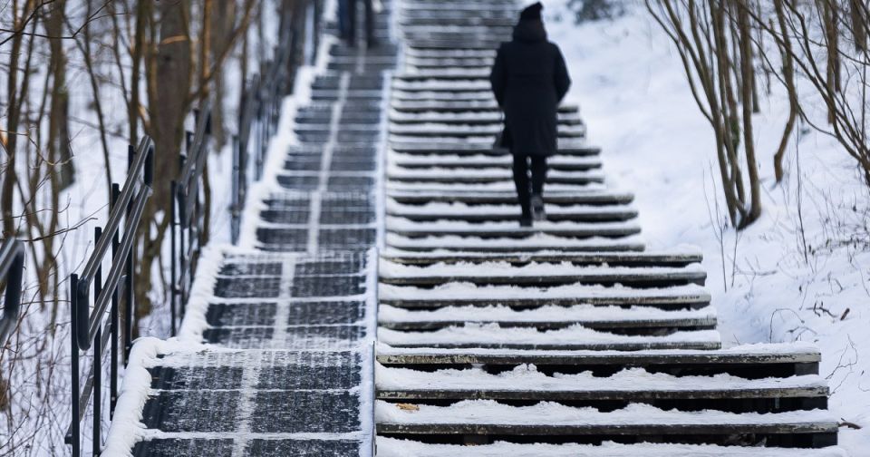 ����� �������� � ��������������� ������� ��������� ������ �� 20 �������� � ���������